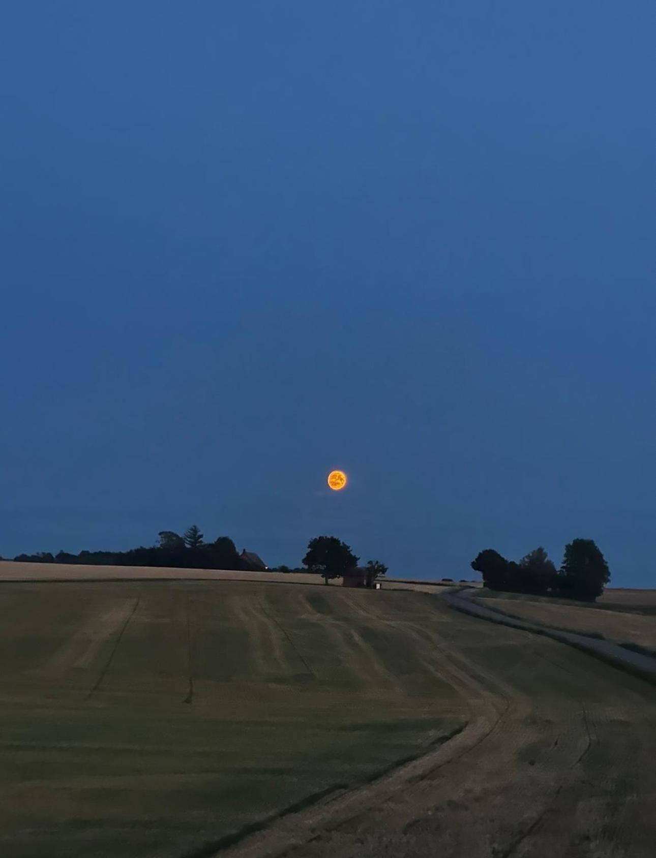 Gaesthus I Naturskoent Laege Genarp Buitenkant foto